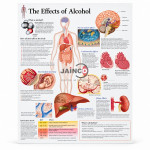 Effects of Alcohol Chart